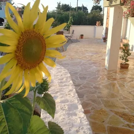 Bed and Breakfast Art Joyful People Αλμπερομπέλο