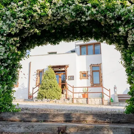 Bed & Breakfast Art Rooms Joyful People Alberobello